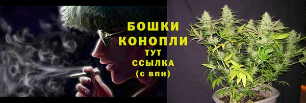 шишки Гусь-Хрустальный