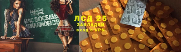 шишки Гусь-Хрустальный