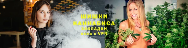 шишки Гусь-Хрустальный