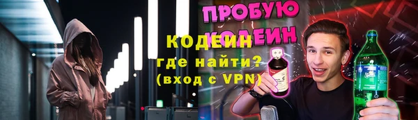 шишки Гусь-Хрустальный