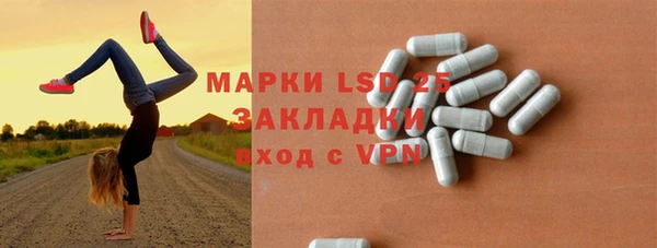 шишки Гусь-Хрустальный