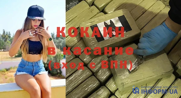 шишки Гусь-Хрустальный