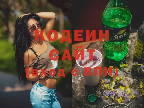 шишки Гусь-Хрустальный