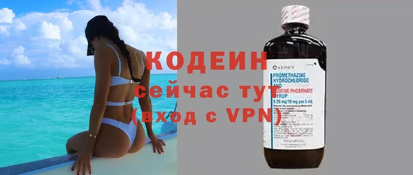 шишки Гусь-Хрустальный