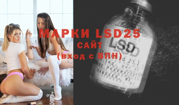 шишки Гусь-Хрустальный