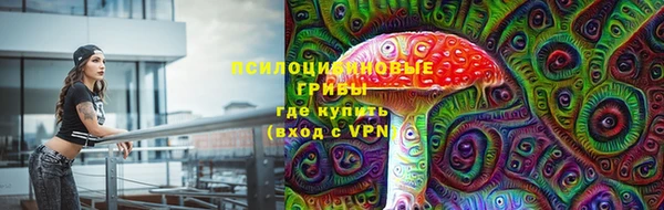 шишки Гусь-Хрустальный